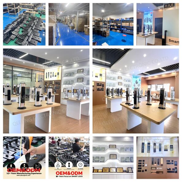 Dongguan Qleung Electronic Co., Ltd.