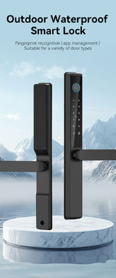 Qleung S960 Digital Glass Door Lock With Fingerprint Recognition Password Card Key Phone APP