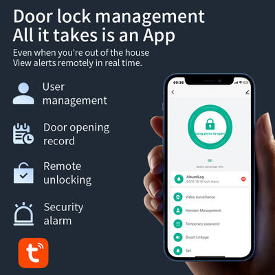 Qleung S958Max Tuya Door Lock With Card Key Password Face Fingerprint Palm Recognition For Apartment Home