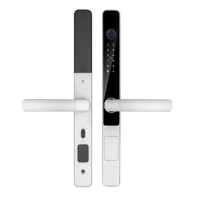 IP65 waterdicht Smart Tuya Wifi afstandsbediening TTlock App Digitaal deur slot