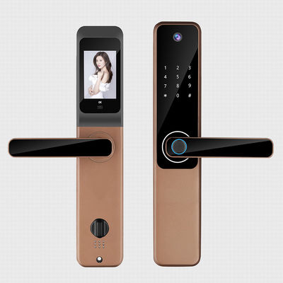 Cloud Storage Weerbestendige Smart Lock Draadloze elektronische deursloten voor huizen