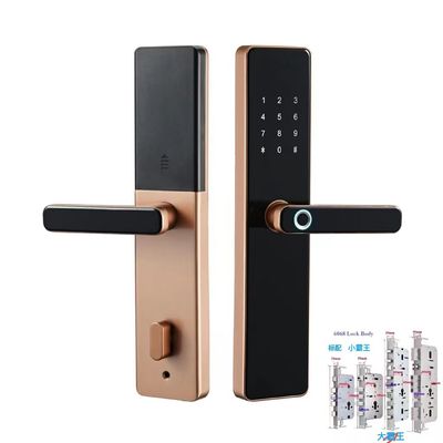 6068 Mortise TTlock Wifi Tuya deur slot met vingerafdruk en wachtwoord
