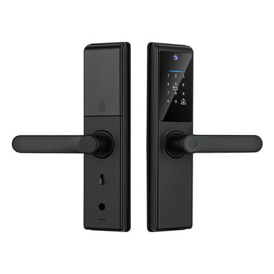 Qleung Tuya Wifi APP Smart Door Knob Remote Control Fingerprint Code Card Key S821Max Home met camera