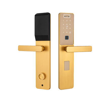 S869 Goudkleurig CNC Slim Plate Gezichtsherkenning Palmvenen Ontsluit Tuya Door Lock